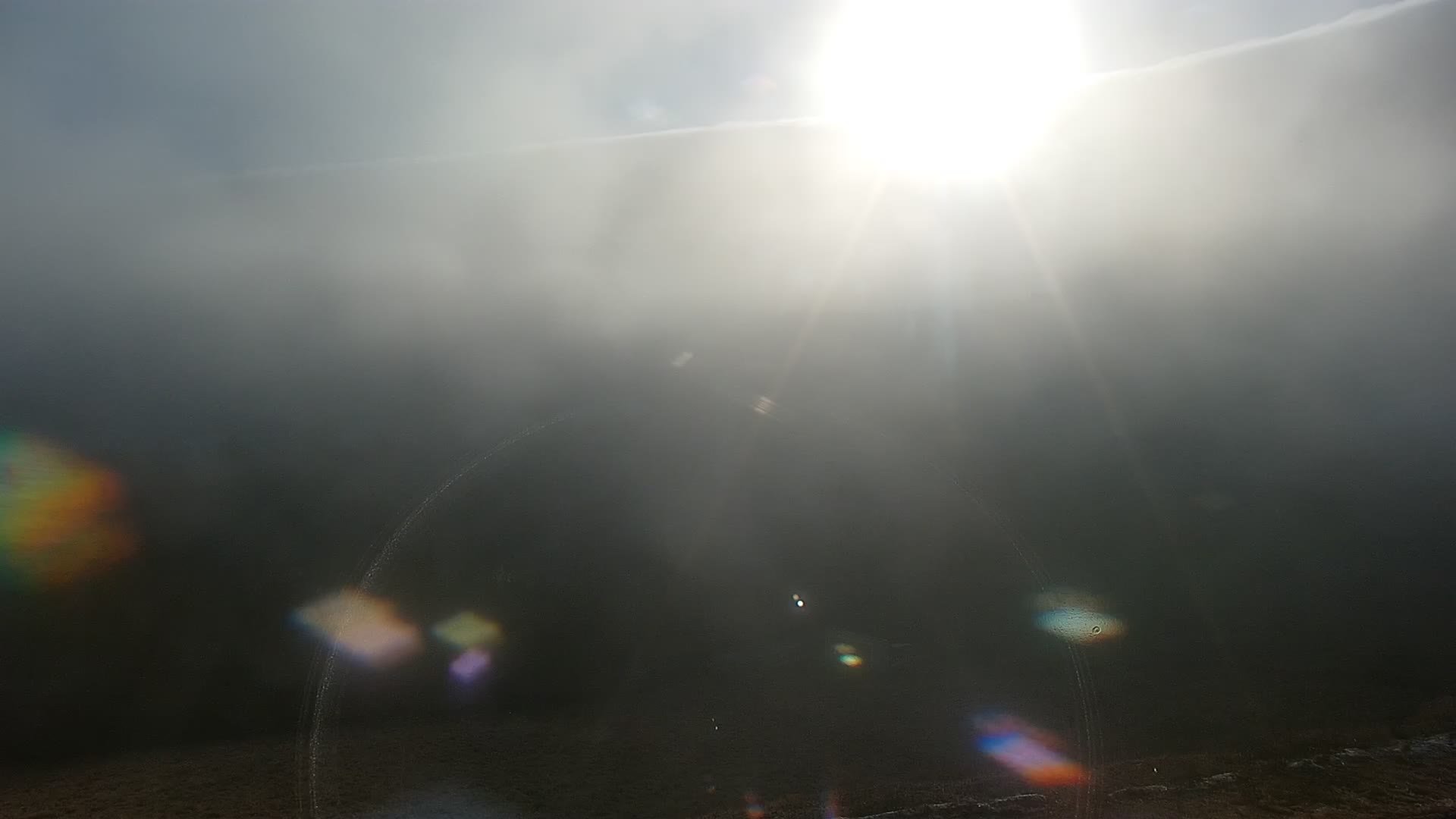 Kamera na żywo - Zieleniec