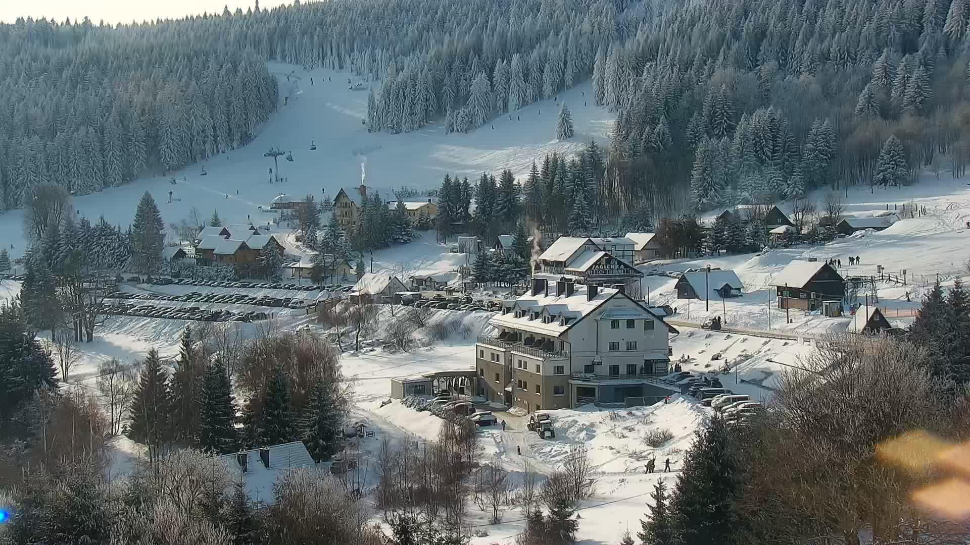 Kamera na żywo - Zieleniec