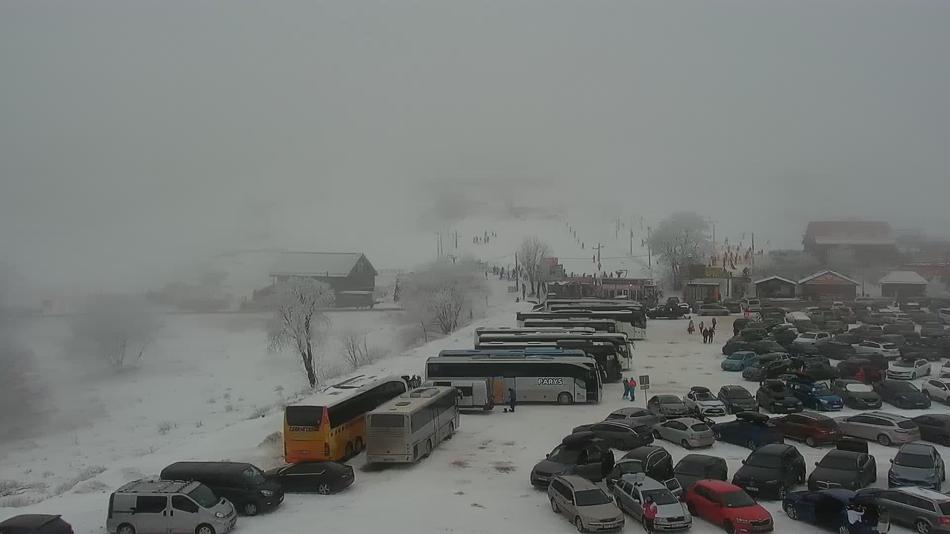 Webcam - Zieleniec